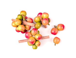 ripe coffee beans on white background