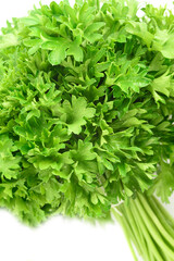 bunch of parsley close-up. bright color