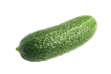 one cucumber isolated on white