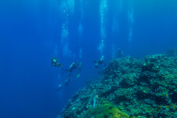 Fototapeta na wymiar 青く澄んだ外洋に面したサンゴ礁を行くダイバーたち。ミクロネシア連邦ヤップ島