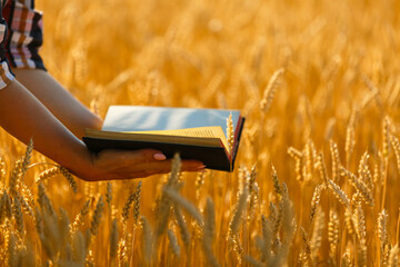 Christian woman praying on holy bible and wooden cross in barley field on summer. Woman pray for...