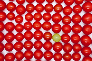 one grape in many tomatoes, top view