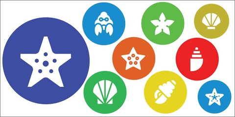 seashell icon set