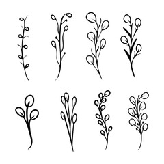 Set Collection of Herb Branches Flourishes Doodle Outline. Vector Illustration of Monogram Botanical and Wild Plant Floral for design elements. 
