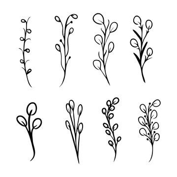 Set Collection of Herb Branches Flourishes Doodle Outline. Vector Illustration of Monogram Botanical and Wild Plant Floral for design elements. 
