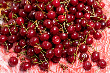 Many ripe cherries as background