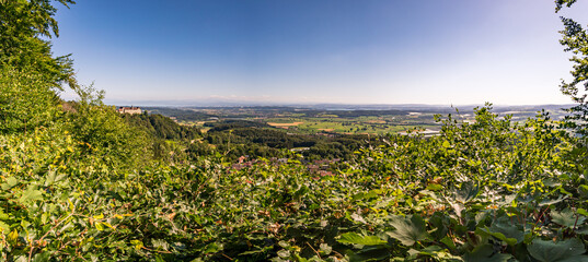 Along the panorama path in Heiligenberg
