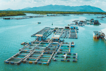 A corner of the oyster feeding farm, float fishing village in Long Son commune, Ba Ria Vung Tau...