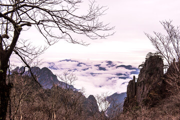 Wonderful and curious sea of clouds and beautiful Huangshan mountain landscape in China.