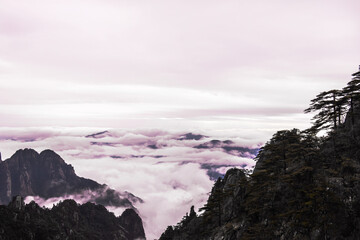 Wonderful and curious sea of clouds and beautiful Huangshan mountain landscape in China.