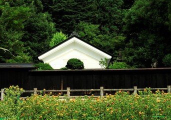 美しい蔵と紅花