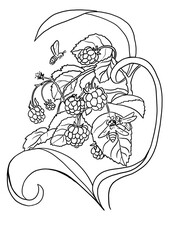 Raspberry composition. Graphic illustration. Coloring page 