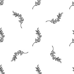 seamless pattern Vector Botanical illustration of a plant branch. Hand-drawn flower in black and white with a thin brush.For registration of invitations, organic products, packaging of organic
