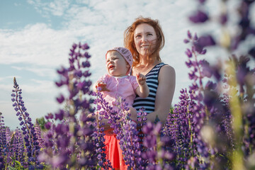 Mother and child laughing and playing in the summer at the lilac and violet lupinus field.