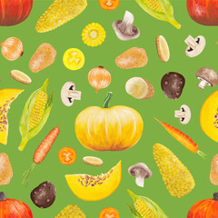 yellow and brown vegetables on a green background. Pumpkin, corn, potato, onion, potato, mushroom, carrot, tomato hand drawn gouache in a realistic style