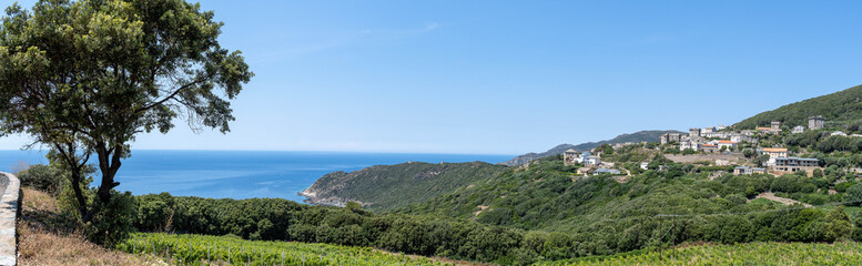 panorama of the hills of Corsica