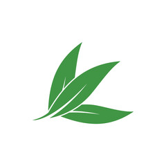 Obraz premium Eucalyptus leaves logo vector template design