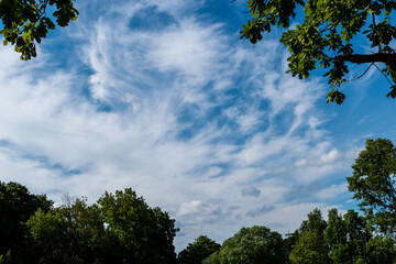 Blue sky with clouds framed by green foliage of trees. Selective focus. Space for lettering or design.