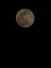 Japanese super moon
日本のスーパームーン