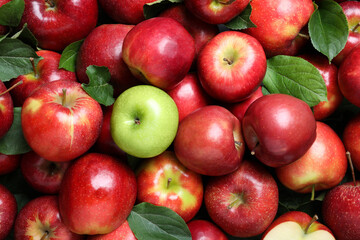 Tasty red apples and green one as background, top view