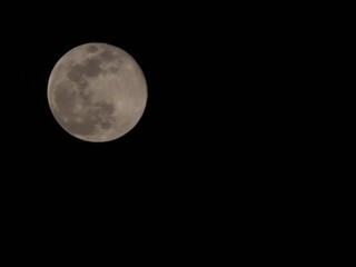 Japanese super moon
日本のスーパームーン