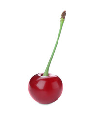 Sweet red juicy cherry isolated on white