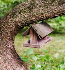 wooden birdhouse on a tree in summer