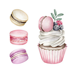 Watercolor cupcake and macaroons collection on white background