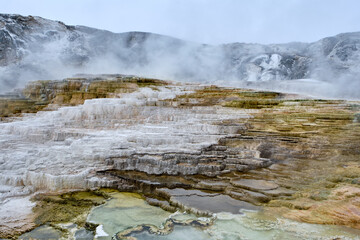 Minerva Terrace, Yellowstone National Park, Wyoming, USA