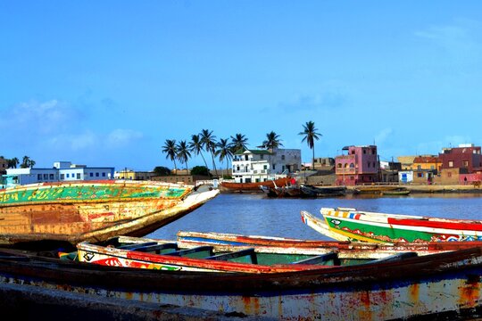 view of the river in senegal