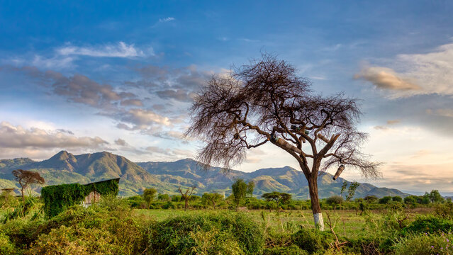 African landscape near Arba Minch. Ethiopia Southern Nations Region, Africa Omo valley wilderness