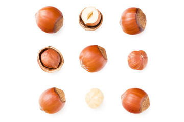 hazelnuts isolated on white background. top view