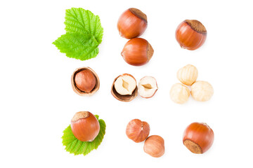 hazelnuts with green leaf isolated on white background. top view