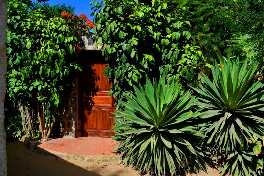 garden in the garden