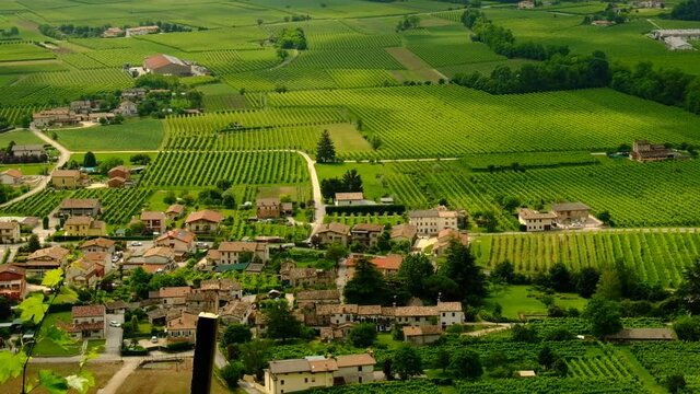 View of Piave area between Prealps and Montello hill with green Prosecco vineyards