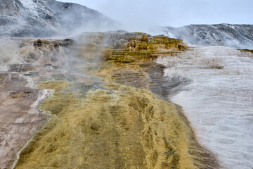 Minerva Terrace, Yellowstone National Park, Wyoming, USA