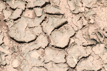 Stripes caused by the cracks of orange topsoil
