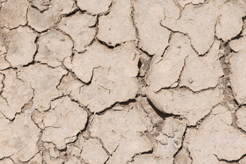 Stripes caused by the cracks of orange topsoil