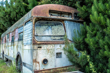 Old bus in the forest - 363815938