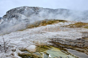 Minerva Terrace, Yellowstone National Park, Wyoming, USA