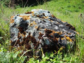 A large brown stone lies on the grass and on the ground