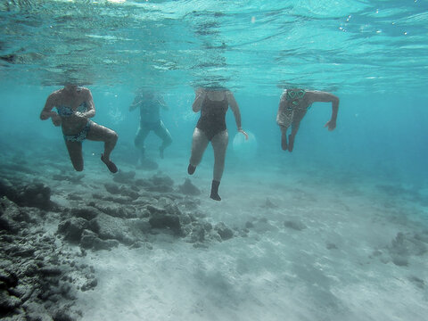 Underwater picture of four people snorkeling and swimming in the turquoise waters of the Caribbean Ocean of Bonaire