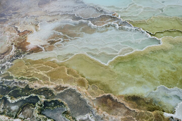 Colorful bands of thermophilic bacteria in Yellowstone National Park