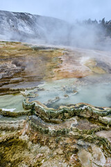 Minerva Terrace, Yellowstone National Park, Wyoming, USA
