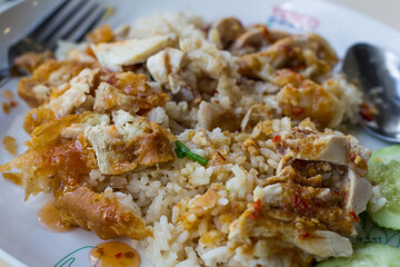 Chicken and Rice Clear focus on specific areas of the image./ soft Focus