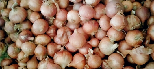 Lots of onions- Good vegetables that benefit our body