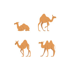 Cartoon camel sketch line icon. Сute animals set of icons.