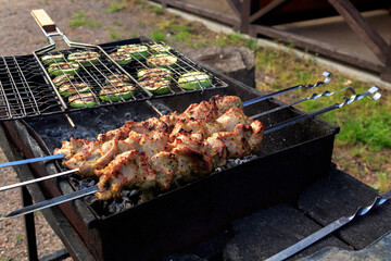 Skewers of thigh of Turkey with mustard-honey sauce and zucchini on the grill