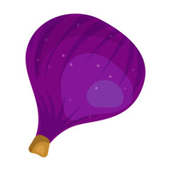 Fig vector icon.Cartoon vector icon isolated on white background fig.