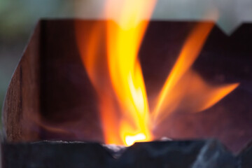 Background close-up. Bonfire in the nature. Fire in the forest.